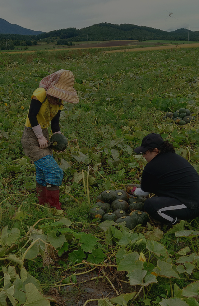 富良野から本当に”美味しい”ものを皆さまへ